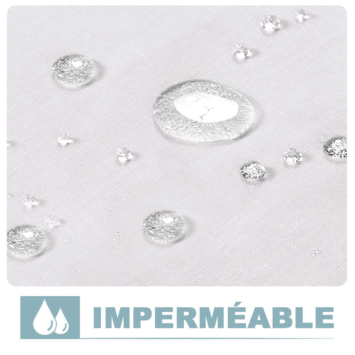 Mehonia Rideau Extérieur