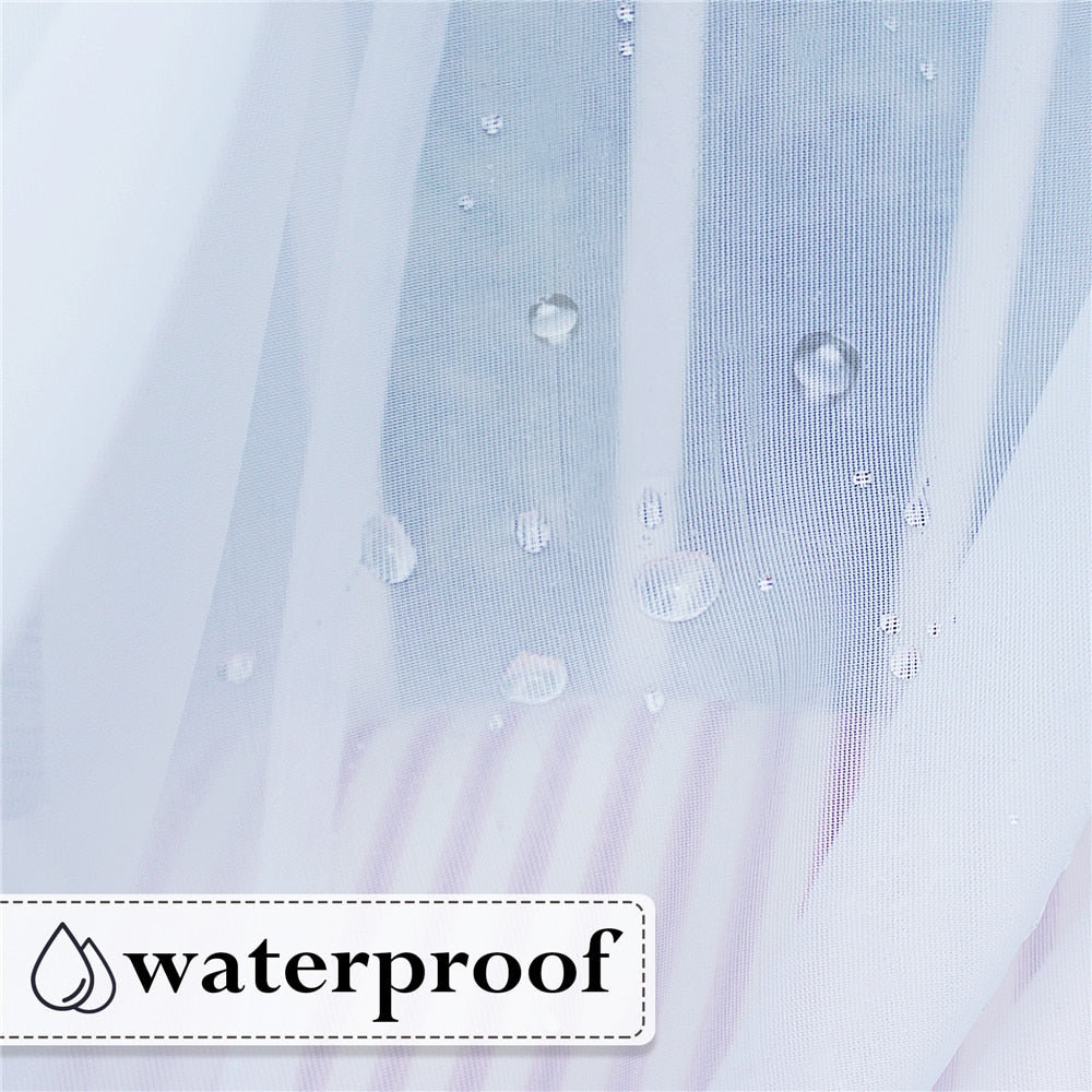 Lasiocereus – Rideau Extérieur