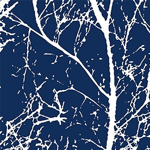 Laira Rideau Extérieur