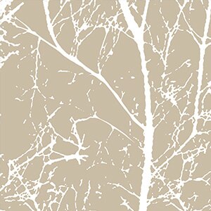 Laira Rideau Extérieur