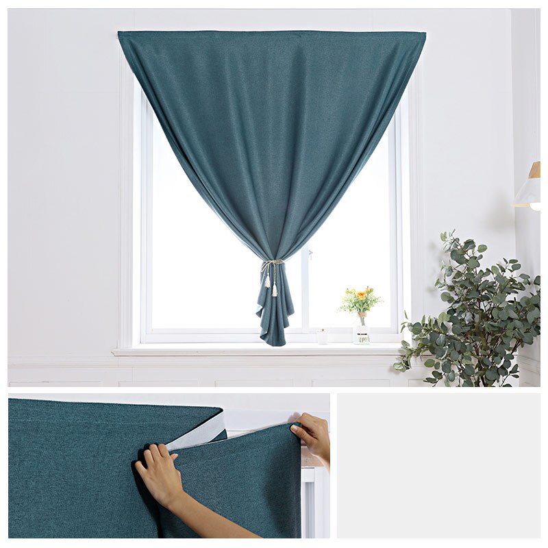 Agave Scratch Rideau