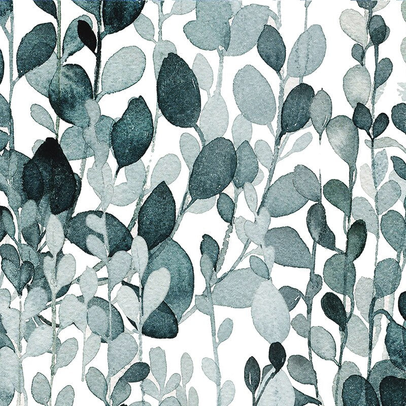 Aluinne – Rideau Extérieur