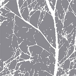 Laira Rideau Extérieur