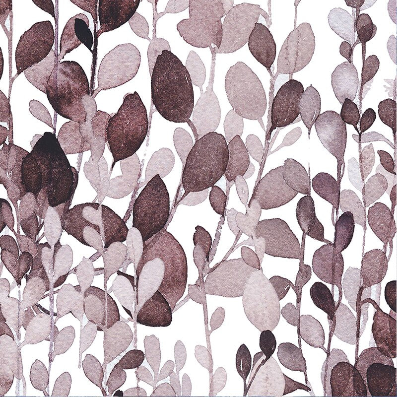 Aluinne – Rideau Extérieur