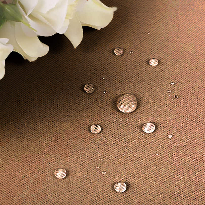 Rideau Extérieur Latanier Couture